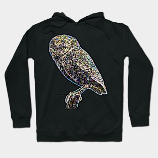 owl Hoodie